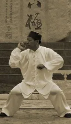 Baji Quan - image principale