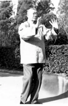 Style Wu (Hao) - image complémentaire 1