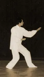 Xing yi Quan - image principale