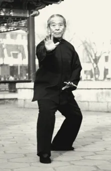 Xing yi Quan - image complémentaire 2