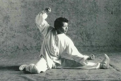 M. Jung Yung Hwan - Maître